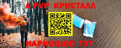 СК Ставрополь