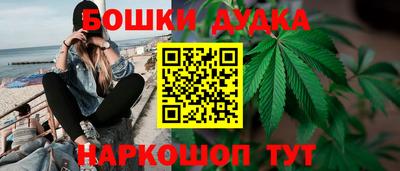 бошки Тверь