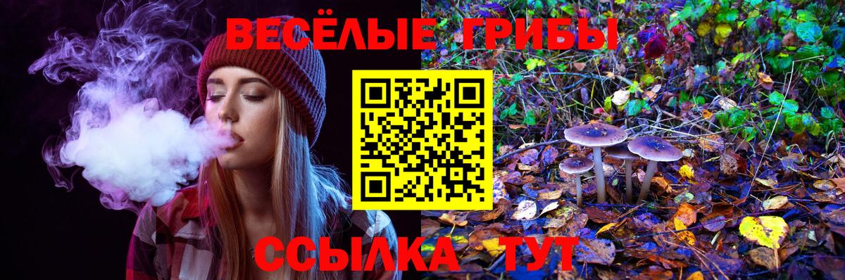 Галлюциногенные грибы прущие грибы  купить наркоту  Похвистнево  Вход с VPN 